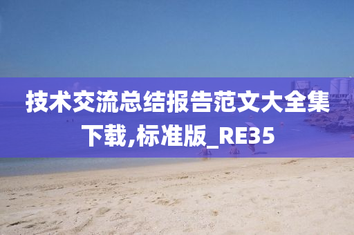 技术交流总结报告范文大全集下载,标准版_RE35