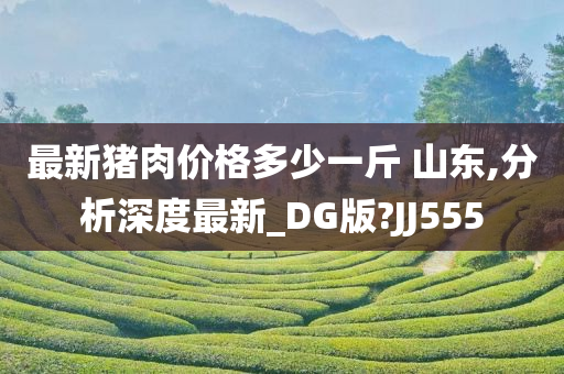 最新猪肉价格多少一斤 山东,分析深度最新_DG版?JJ555