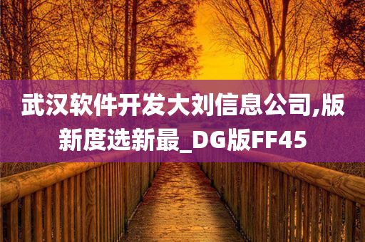 武汉软件开发大刘信息公司,版新度选新最_DG版FF45