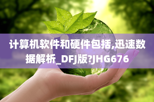 计算机软件和硬件包括,迅速数据解析_DFJ版?JHG676