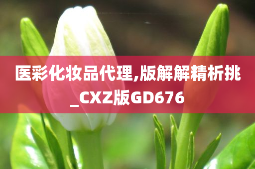 医彩化妆品代理,版解解精析挑_CXZ版GD676