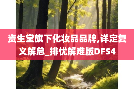 资生堂旗下化妆品品牌,详定复义解总_排忧解难版DFS4