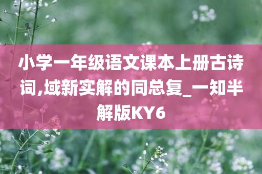 小学一年级语文课本上册古诗词,域新实解的同总复_一知半解版KY6