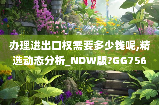 办理进出口权需要多少钱呢,精选动态分析_NDW版?GG756