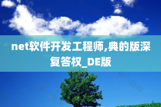 net软件开发工程师,典的版深复答权_DE版