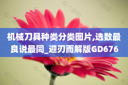 机械刀具种类分类图片,选数最良说最同_迎刃而解版GD676