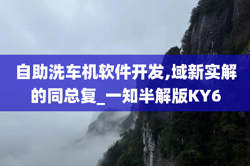 自助洗车机软件开发,域新实解的同总复_一知半解版KY6