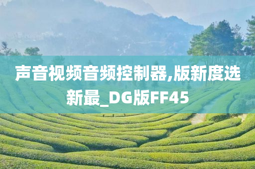 声音视频音频控制器,版新度选新最_DG版FF45