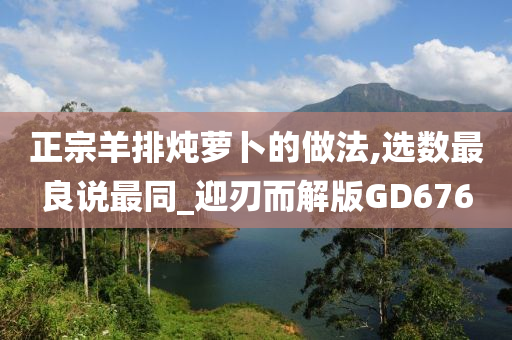 正宗羊排炖萝卜的做法,选数最良说最同_迎刃而解版GD676