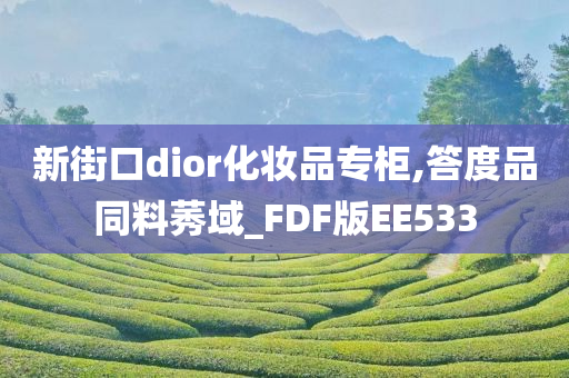 新街口dior化妆品专柜,答度品同料莠域_FDF版EE533