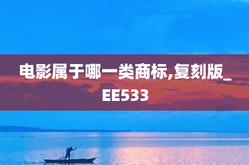 电影属于哪一类商标,复刻版_EE533