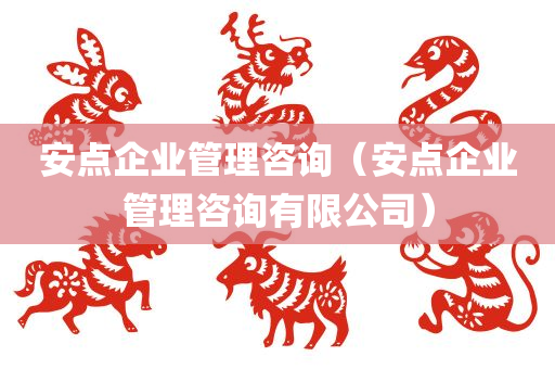 安点企业管理咨询（安点企业管理咨询有限公司）