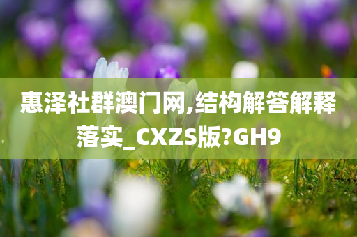 惠泽社群澳门网,结构解答解释落实_CXZS版?GH9