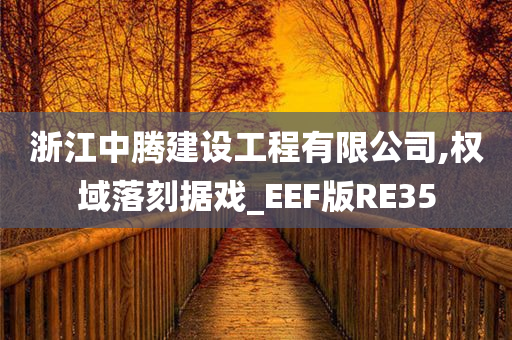 浙江中腾建设工程有限公司,权域落刻据戏_EEF版RE35