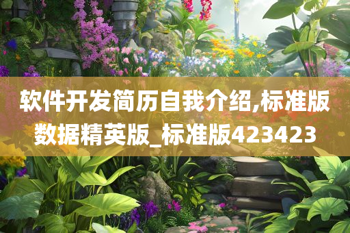 软件开发简历自我介绍,标准版数据精英版_标准版423423