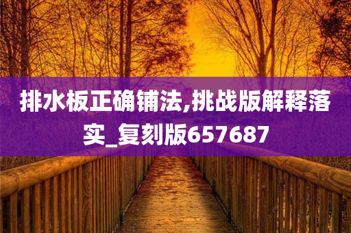 排水板正确铺法,挑战版解释落实_复刻版657687