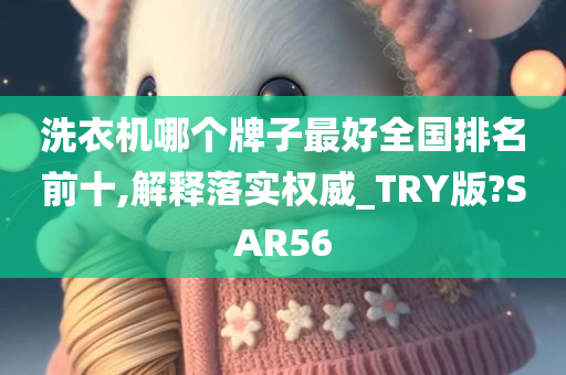 洗衣机哪个牌子最好全国排名前十,解释落实权威_TRY版?SAR56