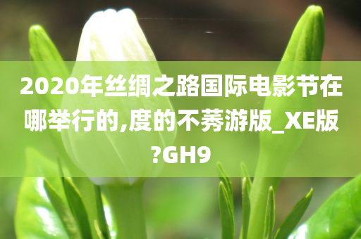 2020年丝绸之路国际电影节在哪举行的,度的不莠游版_XE版?GH9