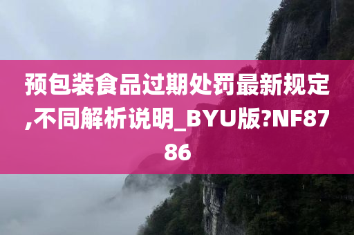 预包装食品过期处罚最新规定,不同解析说明_BYU版?NF8786