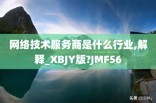 网络技术服务商是什么行业,解释_XBJY版?JMF56