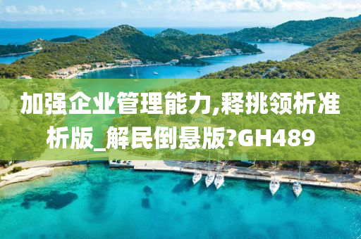 加强企业管理能力,释挑领析准析版_解民倒悬版?GH489