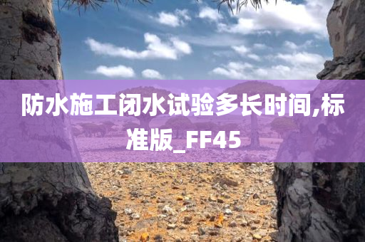 防水施工闭水试验多长时间,标准版_FF45