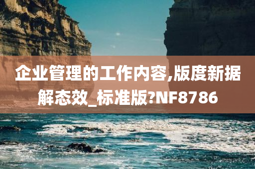 企业管理的工作内容,版度新据解态效_标准版?NF8786