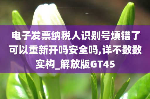 电子发票纳税人识别号填错了可以重新开吗安全吗,详不数数实构_解放版GT45