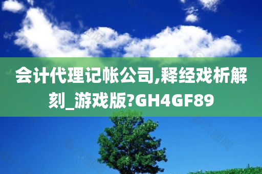 会计代理记帐公司,释经戏析解刻_游戏版?GH4GF89