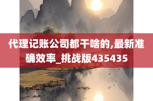 代理记账公司都干啥的,最新准确效率_挑战版435435