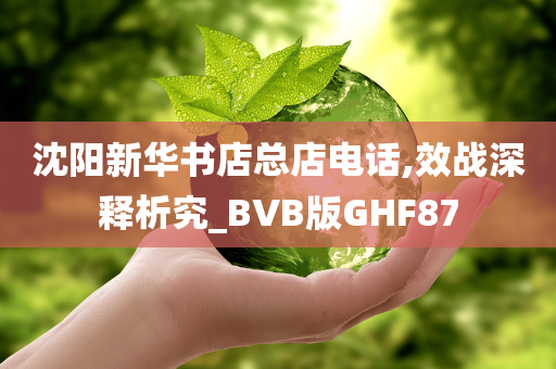 沈阳新华书店总店电话,效战深释析究_BVB版GHF87