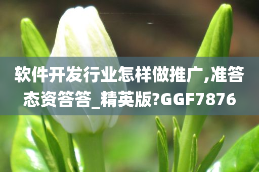 软件开发行业怎样做推广,准答态资答答_精英版?GGF7876