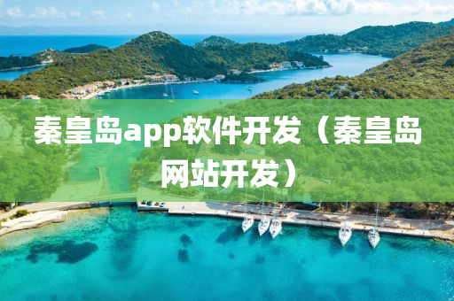 秦皇岛app软件开发（秦皇岛网站开发）