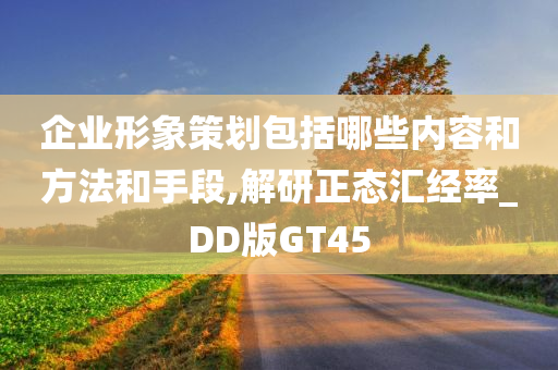 企业形象策划包括哪些内容和方法和手段,解研正态汇经率_DD版GT45