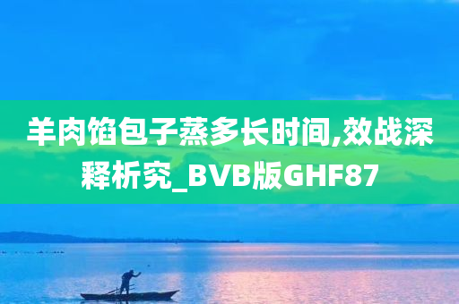 羊肉馅包子蒸多长时间,效战深释析究_BVB版GHF87