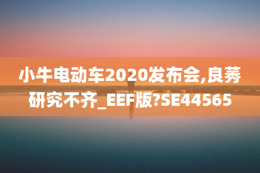 小牛电动车2020发布会,良莠研究不齐_EEF版?SE44565