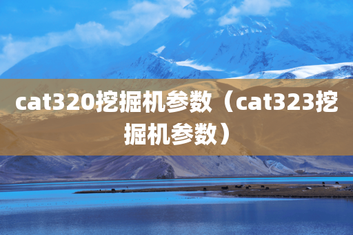 cat320挖掘机参数（cat323挖掘机参数）