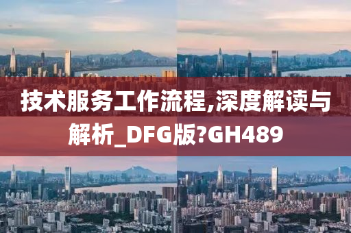 技术服务工作流程,深度解读与解析_DFG版?GH489