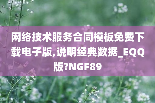 网络技术服务合同模板免费下载电子版,说明经典数据_EQQ版?NGF89