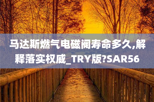 马达斯燃气电磁阀寿命多久,解释落实权威_TRY版?SAR56