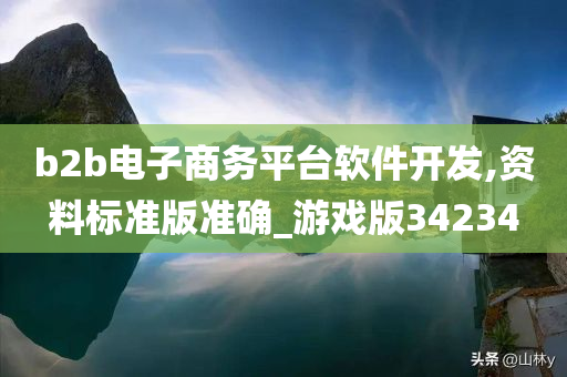 b2b电子商务平台软件开发,资料标准版准确_游戏版34234