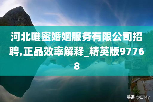 河北唯蜜婚姻服务有限公司招聘,正品效率解释_精英版97768