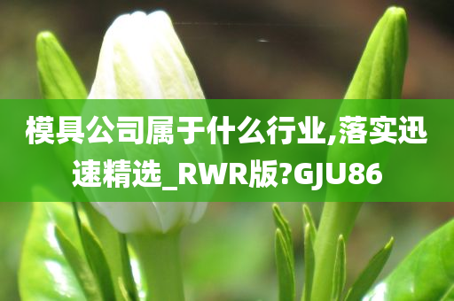 模具公司属于什么行业,落实迅速精选_RWR版?GJU86