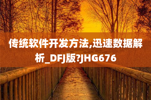 传统软件开发方法,迅速数据解析_DFJ版?JHG676