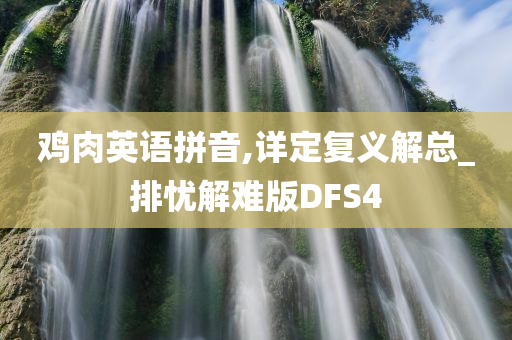 鸡肉英语拼音,详定复义解总_排忧解难版DFS4