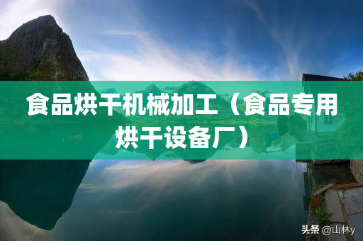 食品烘干机械加工（食品专用烘干设备厂）