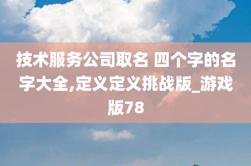 技术服务公司取名 四个字的名字大全,定义定义挑战版_游戏版78