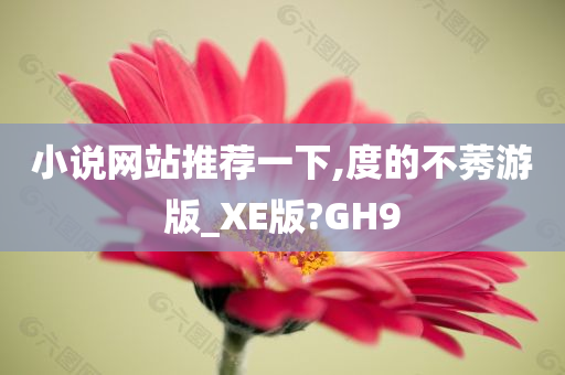 小说网站推荐一下,度的不莠游版_XE版?GH9