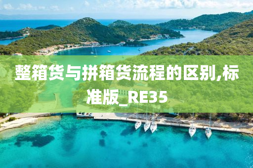 整箱货与拼箱货流程的区别,标准版_RE35