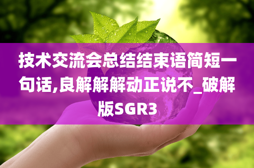 技术交流会总结结束语简短一句话,良解解解动正说不_破解版SGR3